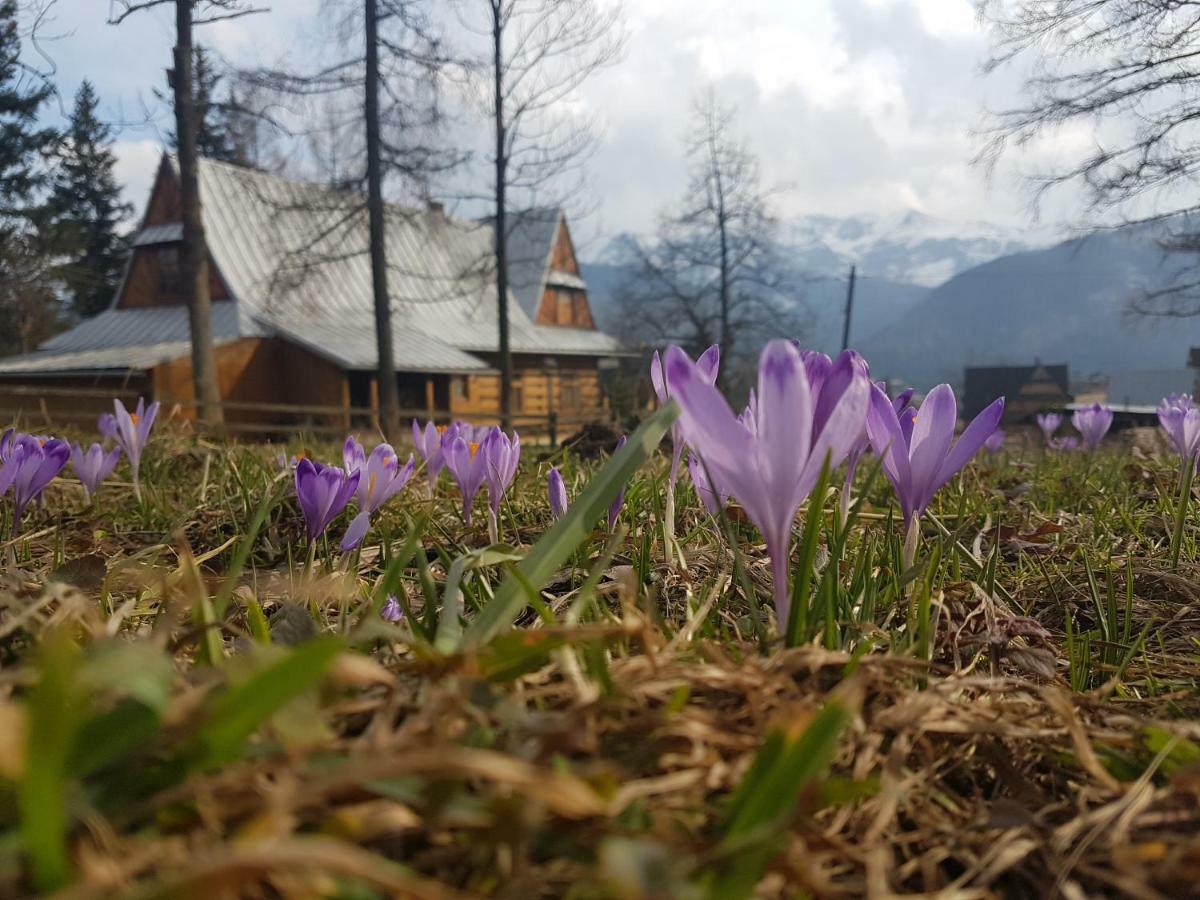 Apartament Sielanka, Basen Kościelisko Esterno foto