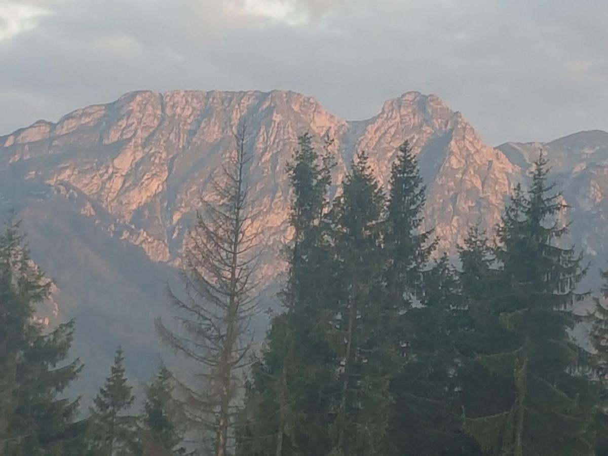 Apartament Sielanka, Basen Kościelisko Esterno foto
